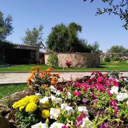 El Lagar Del Abuelo En Los Arribes Del Duero, Badilla, Zamora Bagian luar foto