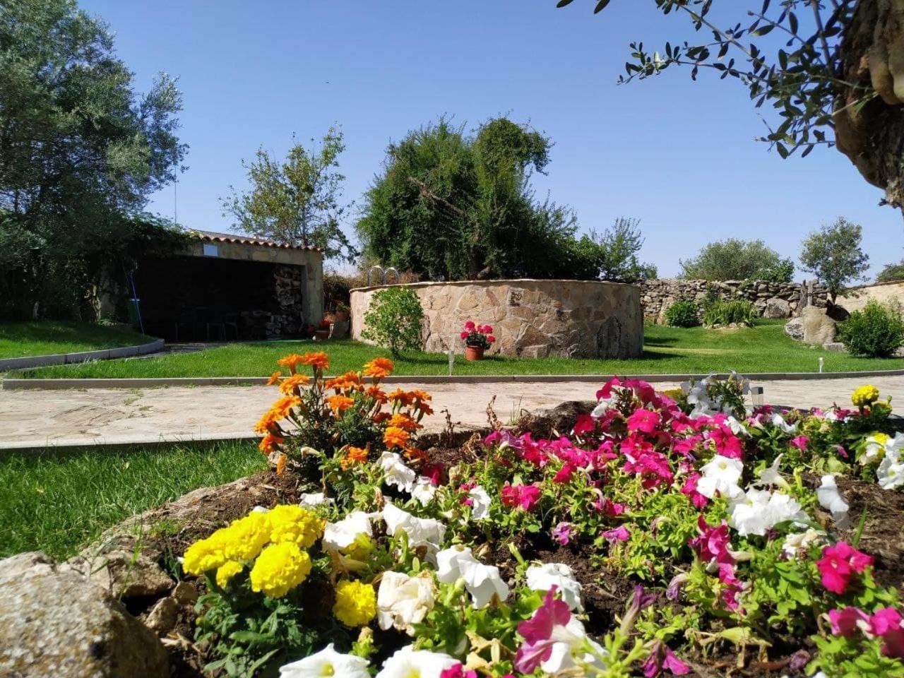 El Lagar Del Abuelo En Los Arribes Del Duero, Badilla, Zamora Bagian luar foto