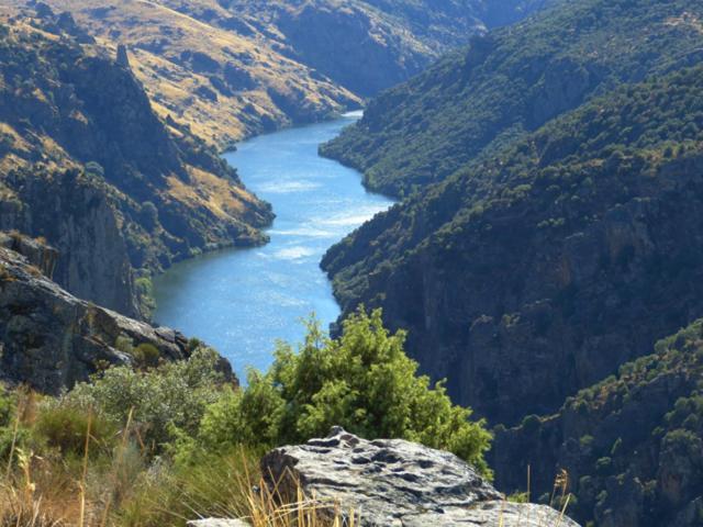 El Lagar Del Abuelo En Los Arribes Del Duero, Badilla, Zamora Bagian luar foto