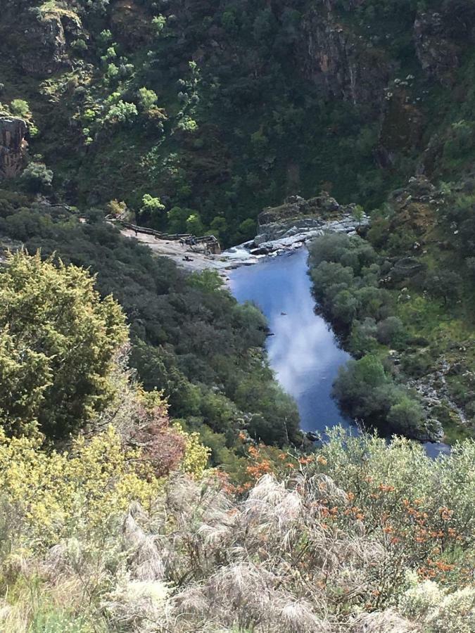 El Lagar Del Abuelo En Los Arribes Del Duero, Badilla, Zamora Bagian luar foto
